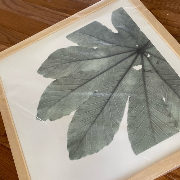 16” Framed “Green Leaf” Tropical Art by minted.com - Picture 3 of 4